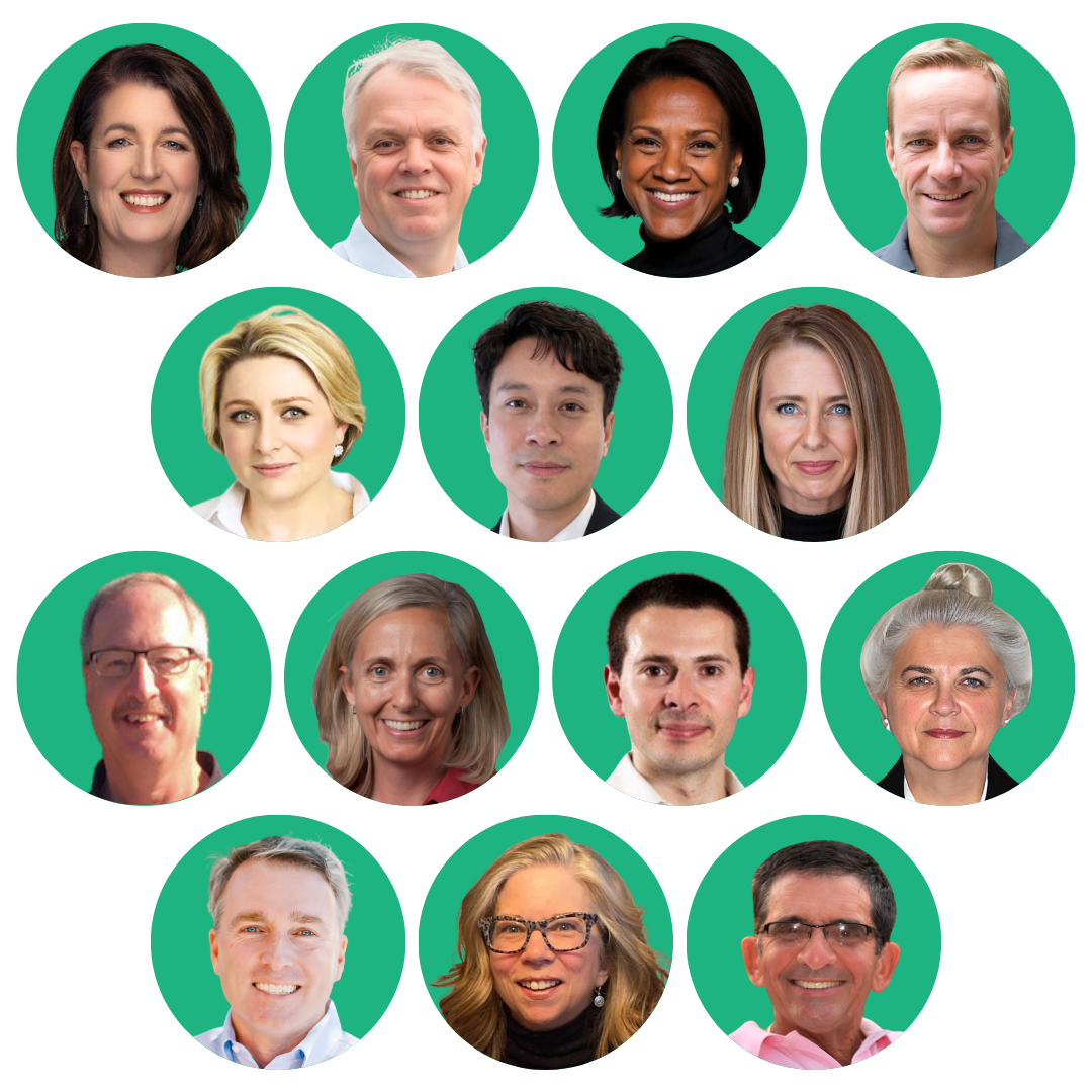 large-MERU Strategic Partners 2 (1)